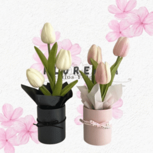 Pack de 2 box de 5 tulipanes