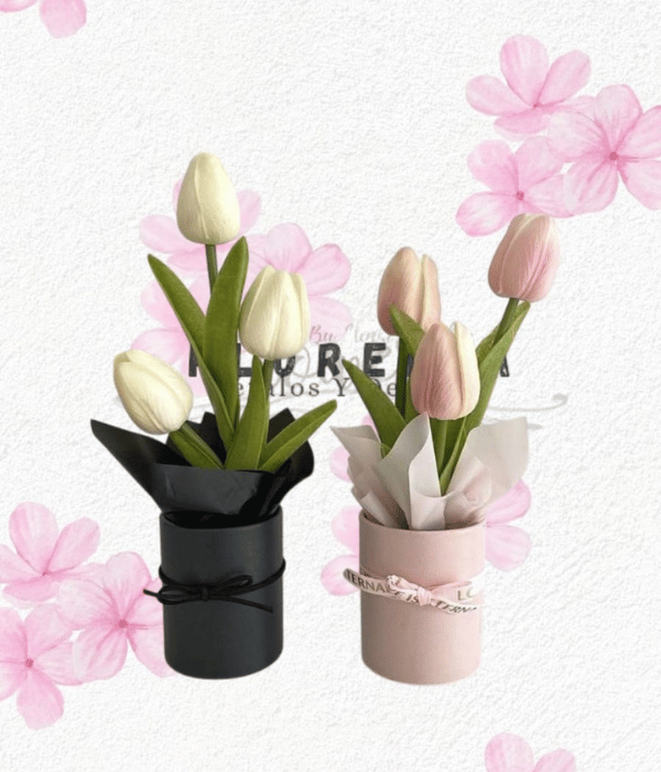 Pack de 2 box de 5 tulipanes