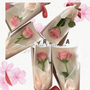 Pack detalle de una sola Rosa