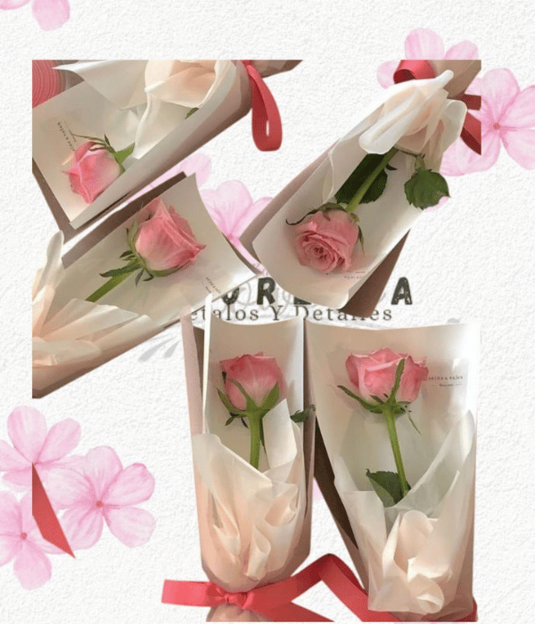 Pack detalle de una sola Rosa