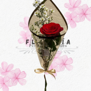 Rosa en cono