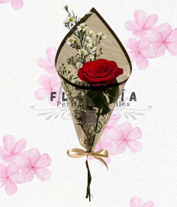 Rosa en cono