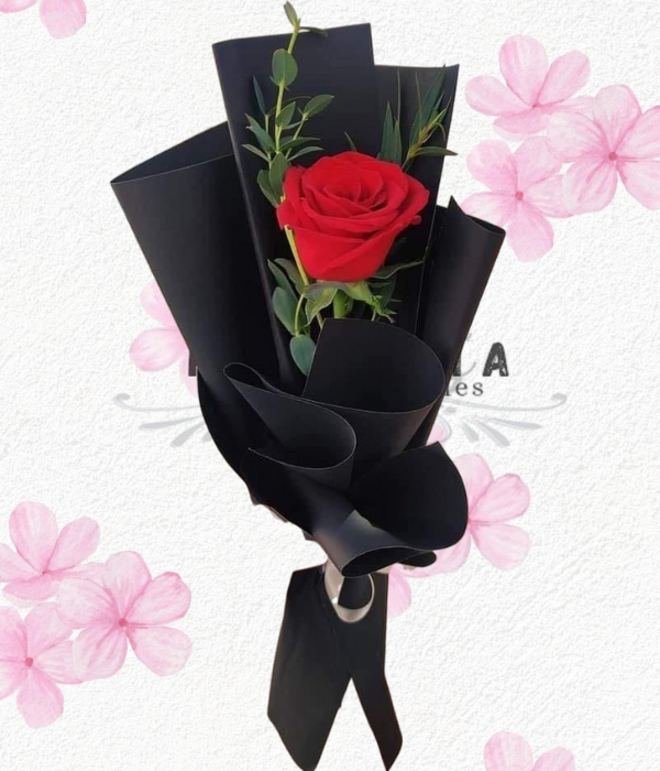 Rosa en elegante envoltura