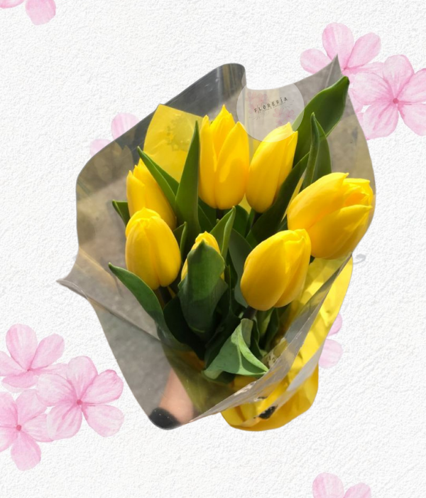 Ramo en 10 delicados tulipanes y lindo envoltorio en cono