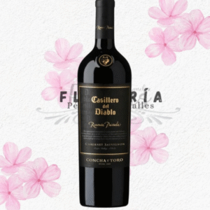 Vino casillero del diablo reserva privada c.s 750cc