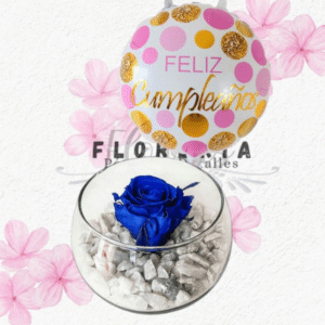 Rosa preservada y globito