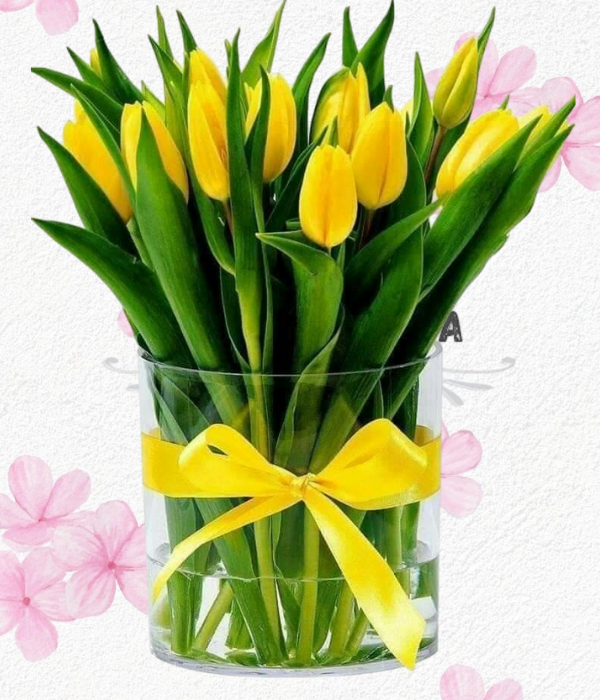 Florero cilindro en 15 delicados tulipanes y lindo lazo