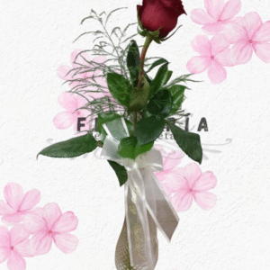 Florerito alegre día, En 1 rosita y follaje verde