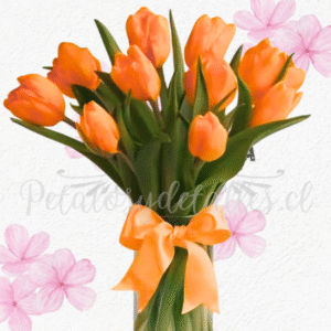 Florero encanto único, Cilindro en 10 tulipanes