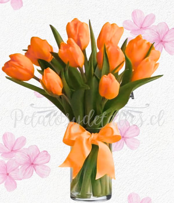 Florero encanto único, Cilindro en 10 tulipanes