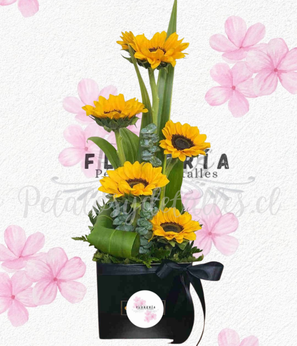 Box cuadrado en 5 maravillas, lindo follaje verde y lazo