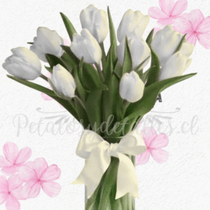 Florero serenidad cilindro de vidrio en 10 delicados tulipanes