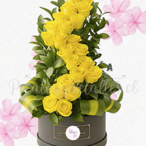 Box tendencia curva, en 25 rosas importadas y lindo follaje