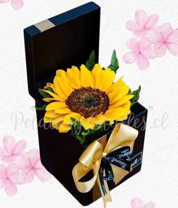 Detalle enamora con luz, Box cuadrado en 1 girasol y follaje