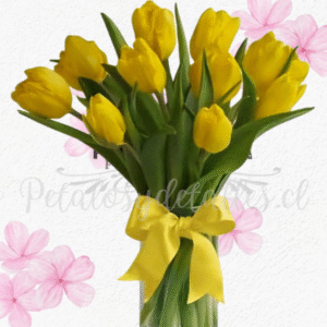 Florero encanto amarillo, Cilindro en 10 tulipanes y lazo