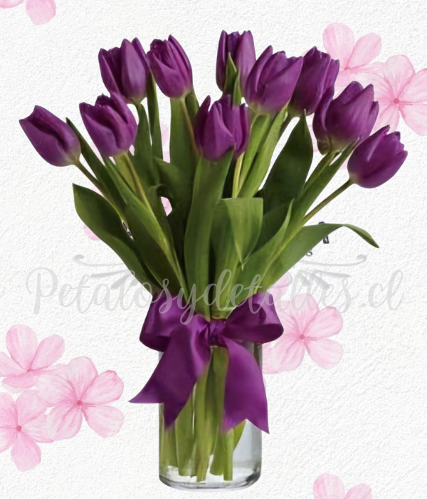 Florero encanto único morado, Cilindro en 10 tulipanes y lazo