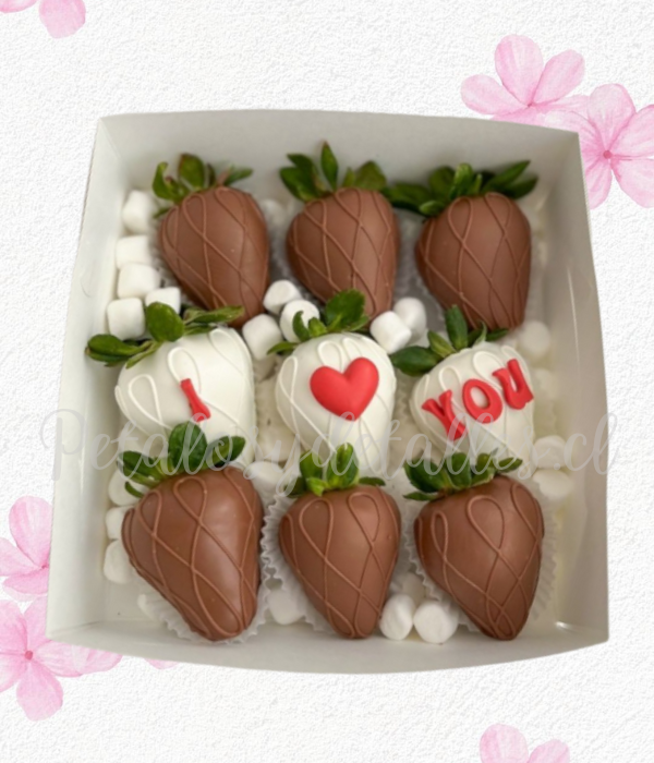 Cajita fruti fruti en 9 frutillas decoradas