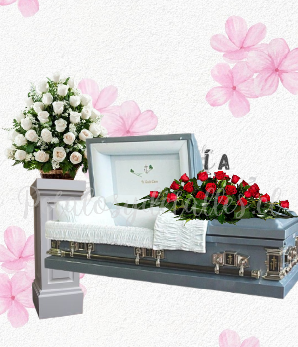 Pack arrimo 30 rosas, cojin grande 25 rosas, Rosas a elección