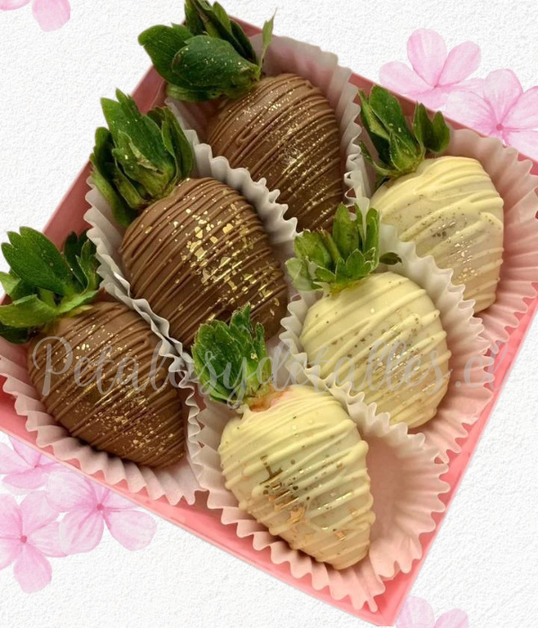 Cajita cuadrada en 6 frutillas con chocolate