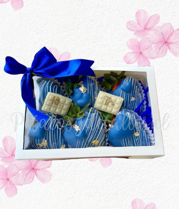 Cajita visora en 6 frutillas y chocolate en cuadritos