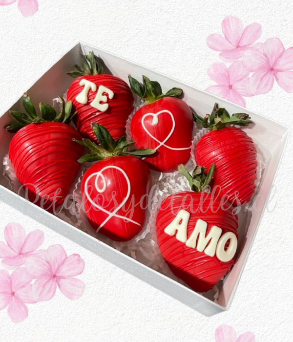 Caja cuadra con 6 frutillas decoradas y frase en chocolate
