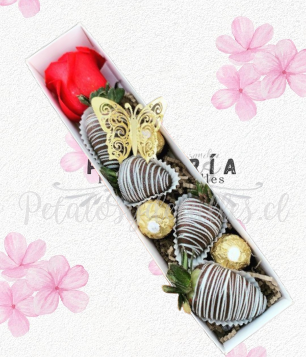 Caja en 4 frutillas con chocolate, 2 ferreros y rosa natural