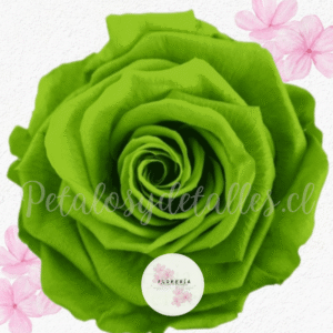 Rosa preservada eterna Verde claro (Para Adicional)