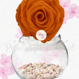 Rosa preservada eterna naranja, pecera y piedritas