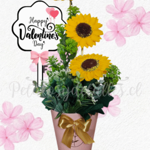 Mini box en 3 girasoles eternos de jabón y topper