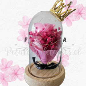 Rosa eterna de jabón en cúpula de vidrio y coronita