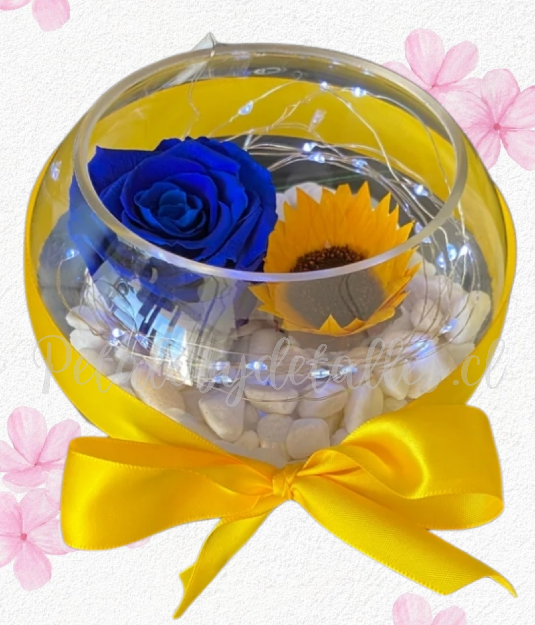 Rosa azul preservada y girasol en pecera y piedritas