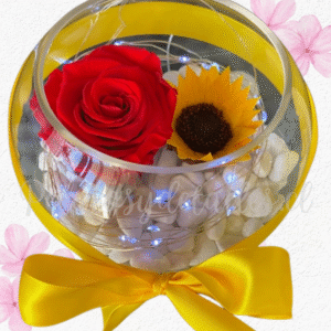 Rosa roja preservada eterna y girasol en pecera decorada