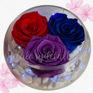 Rosas preservadas eternas, pecera de vidrio y piedras decorativas