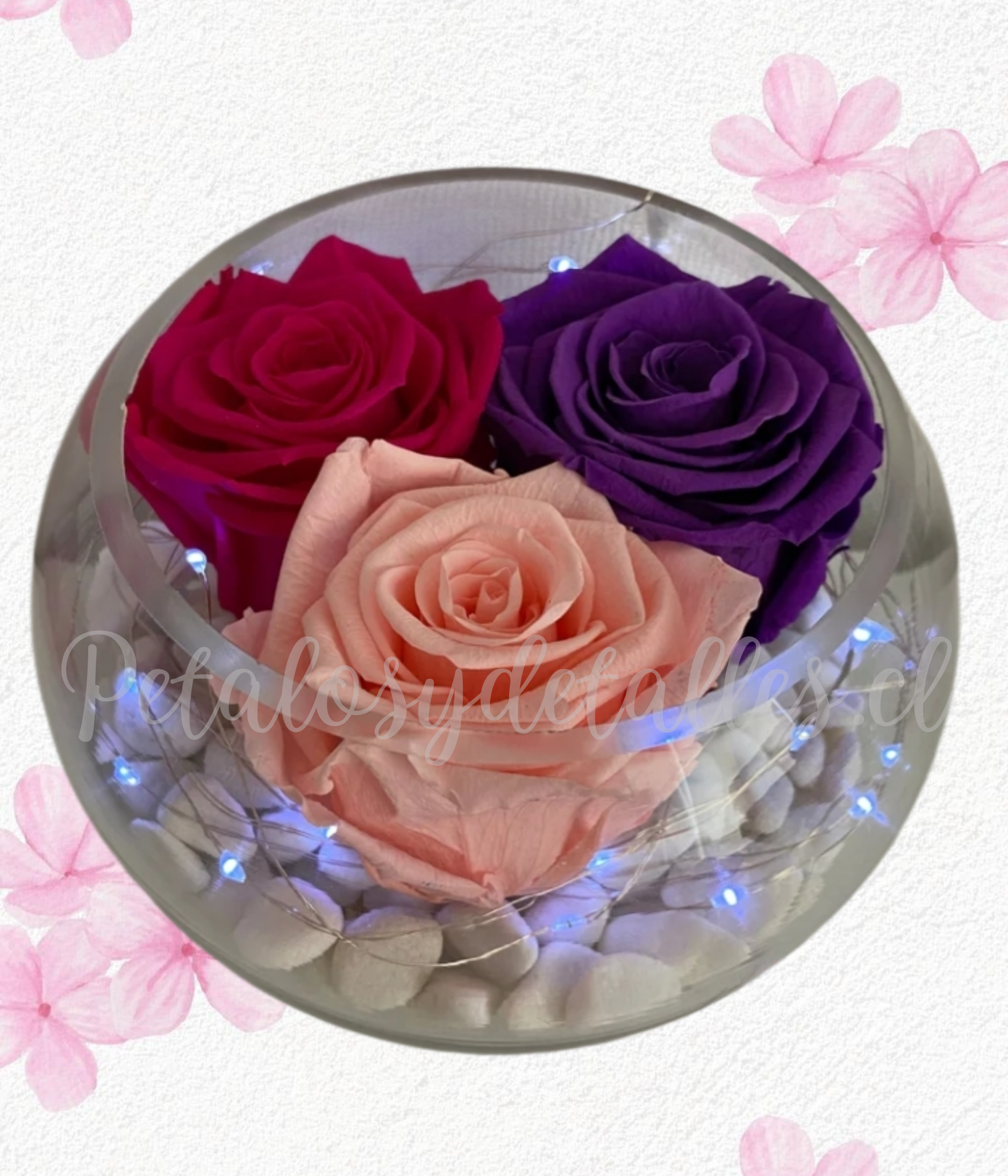 Rosas preservadas eternas, pecera de vidrio y piedras decorativas