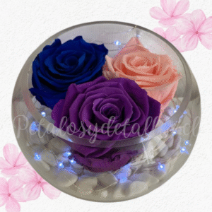 Rosas preservadas eternas, pecera de vidrio y piedras decorativas