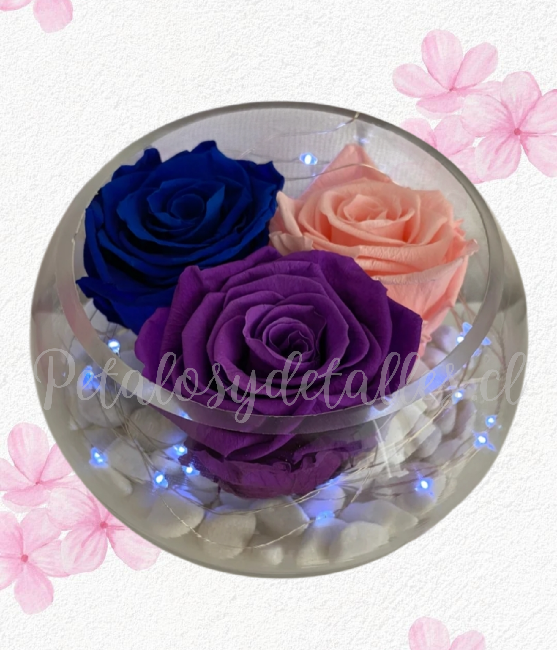 Rosas preservadas eternas, pecera de vidrio y piedras decorativas