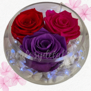 Rosas preservadas eternas, pecera de vidrio y piedras decorativas