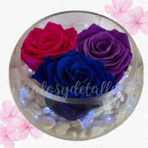 Rosas preservadas eternas, pecera de vidrio y piedras decorativas