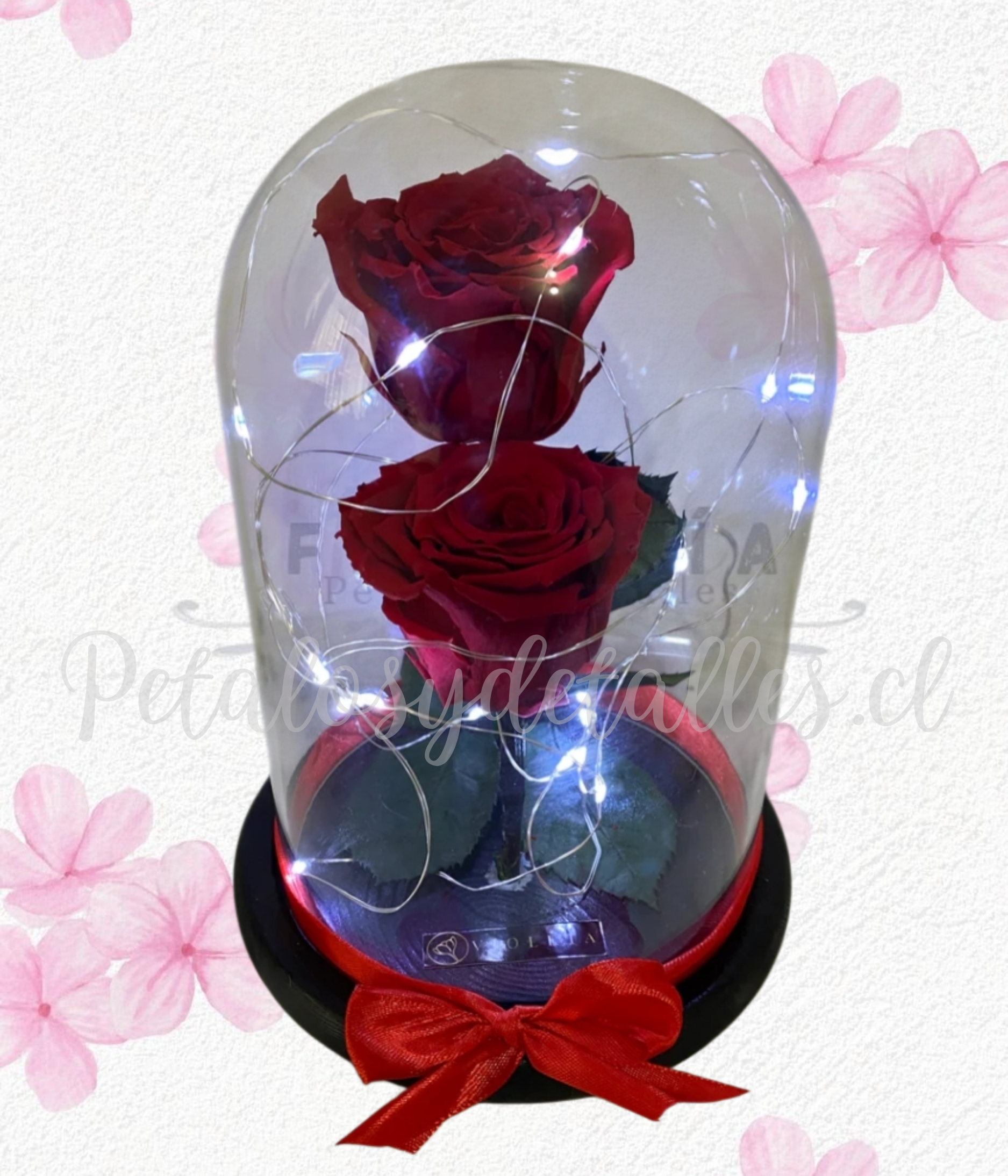 Dos rosa preservadas eternas en cúpula y lucres