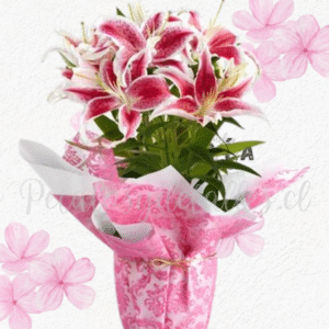 Base en 10 varas de lilium, follaje verde y envoltorio, lazo