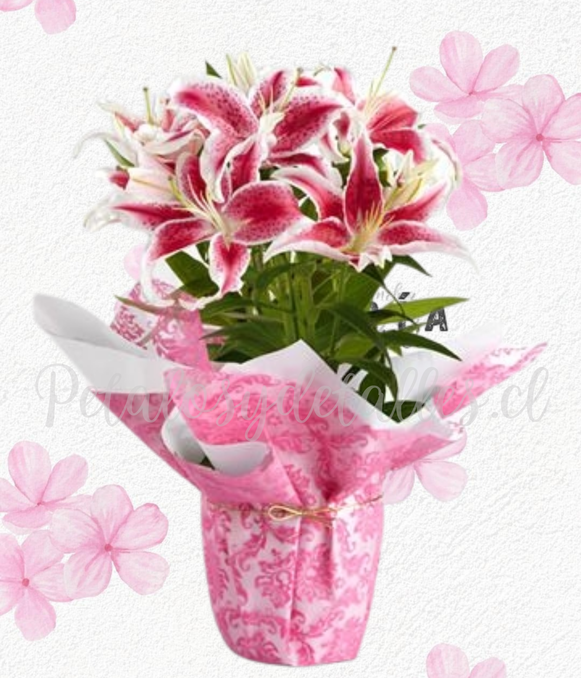 Base en 10 varas de lilium, follaje verde y envoltorio, lazo