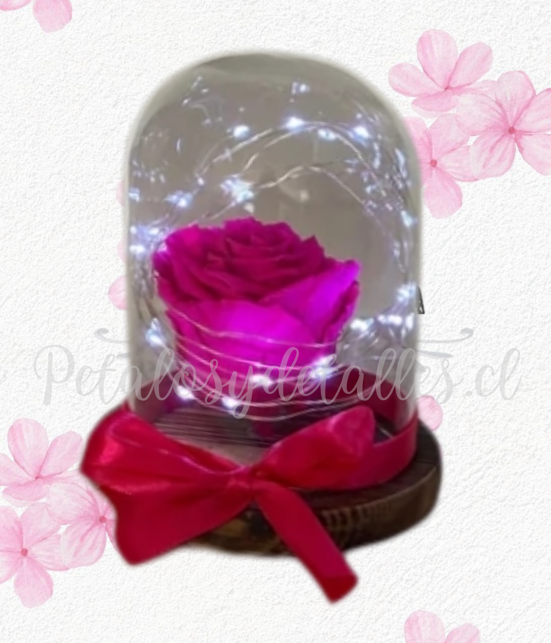 Rosa fucsia preservada eterna en cúpula, luces y lazo