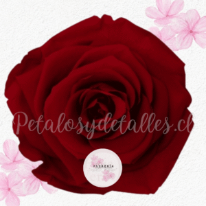 Rosa roja preservada eterna (Para Adicional)