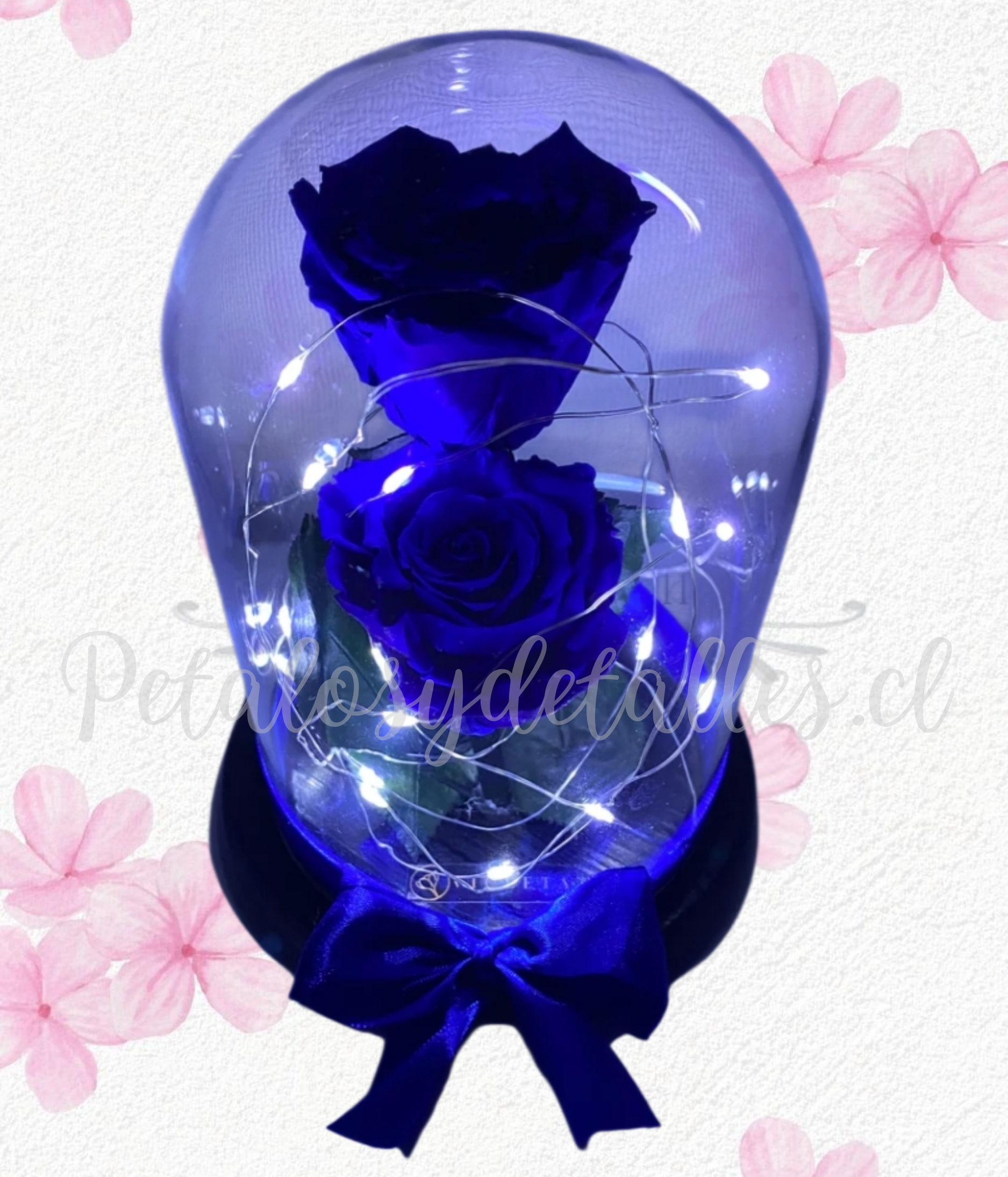 Dos elegantes rosas preservadas eternas en cúpula y luces