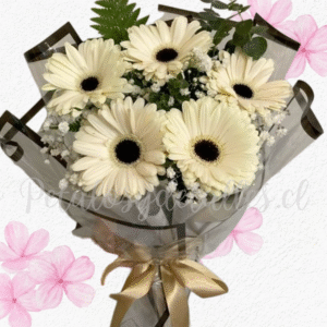 Ramo doncellez en 6 gerberas, follaje e ilusión blanca