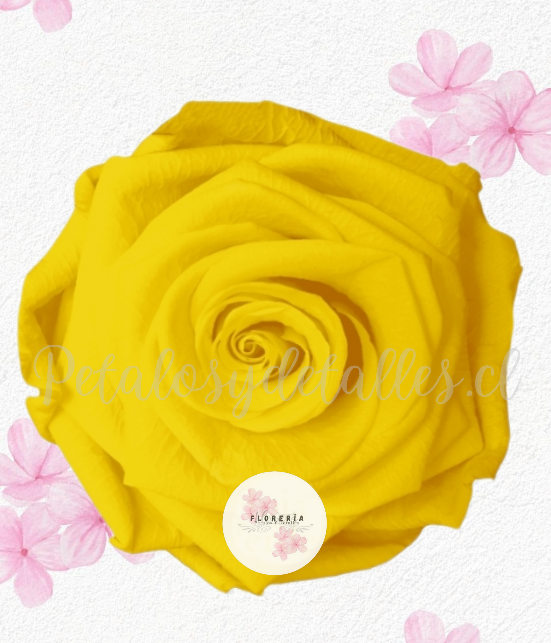 Rosa Amarilla preservada eterna (Para Adicional)