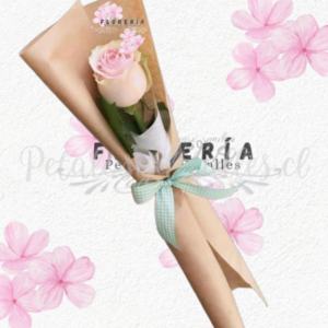 Delicada rosita importada natural, linda envoltura y lazo