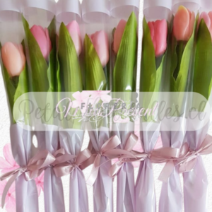 Ramitos en tulipanes, Pack en 10 varas para regalar amor