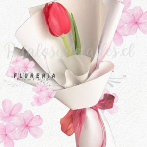 Elegance de tulipán decorado en linda envoltura y lazo