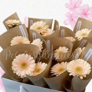 Pack en 15 ramitos de gerberas para regalonear y dar amor
